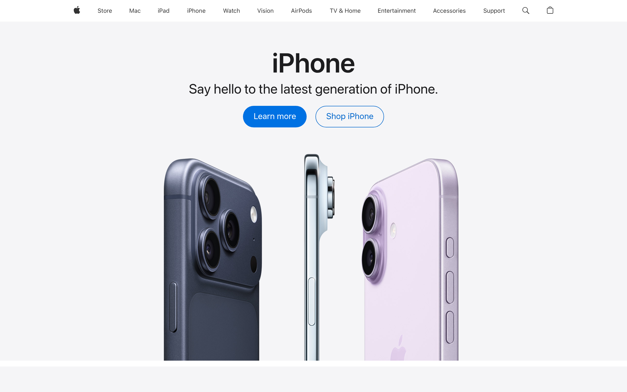 Website Preview